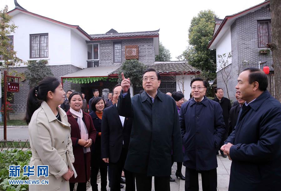 這是11月22日，張德江來到成都郫縣青杠樹村，了解村民委員會工作情況。 新華社記者 劉衛兵 攝 
