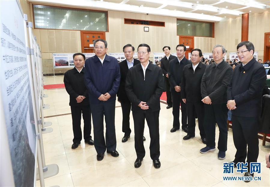 1月9日至10日，國務(wù)院副總理張高麗在安徽調(diào)研推動長江經(jīng)濟(jì)帶發(fā)展工作。這是1月10日，張高麗主持召開推動長江經(jīng)濟(jì)帶發(fā)展工作會議前聽取介紹。新華社記者 龐興雷 攝