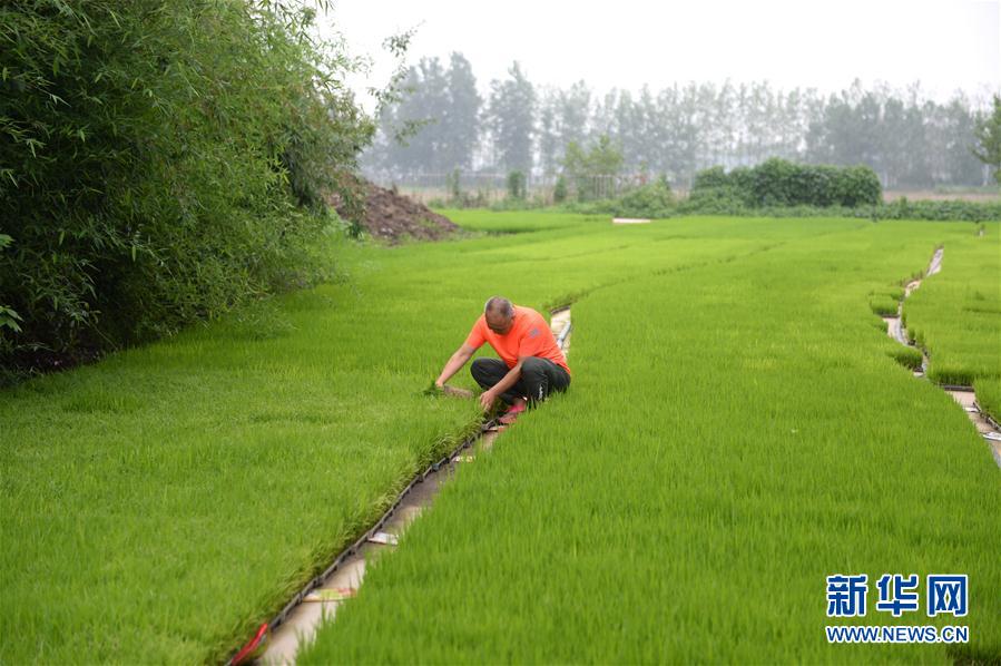 （圖文互動(dòng)）（2）“以萬(wàn)全準(zhǔn)備防萬(wàn)一發(fā)生”——安徽沿淮地區(qū)防汛備汛見聞