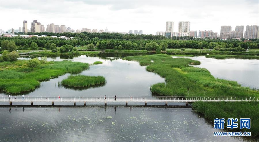 （走向我們的小康生活·圖文互動(dòng)）（1）水清、地綠、空氣新——最北省份黑龍江繪就生態(tài)治理新畫(huà)卷