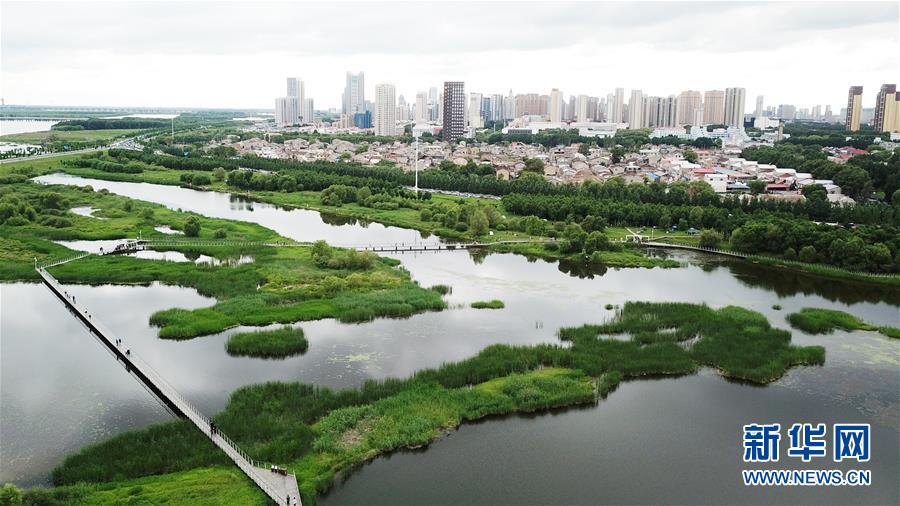（走向我們的小康生活·圖文互動(dòng)）（2）水清、地綠、空氣新——最北省份黑龍江繪就生態(tài)治理新畫(huà)卷