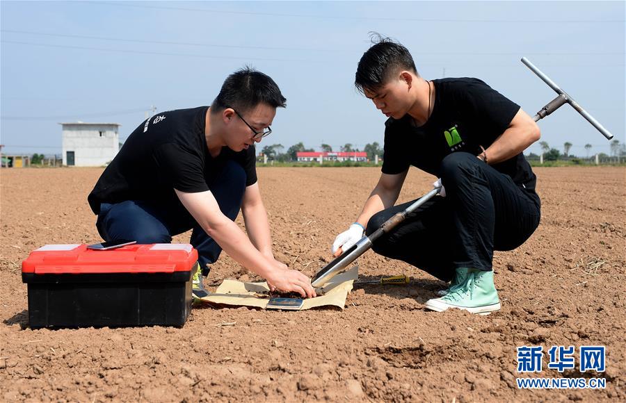 （在習(xí)近平新時(shí)代中國特色社會主義思想指引下——新時(shí)代新作為新篇章·總書記關(guān)心的百姓身邊事·圖文互動(dòng)）（6）“農(nóng)”字頭照樣“大”作為——豐收時(shí)節(jié)看涉農(nóng)高校人才在希望的田野