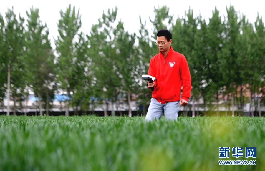 （在習(xí)近平新時(shí)代中國特色社會主義思想指引下——新時(shí)代新作為新篇章·總書記關(guān)心的百姓身邊事·圖文互動(dòng)）（4）“農(nóng)”字頭照樣“大”作為——豐收時(shí)節(jié)看涉農(nóng)高校人才在希望的田野