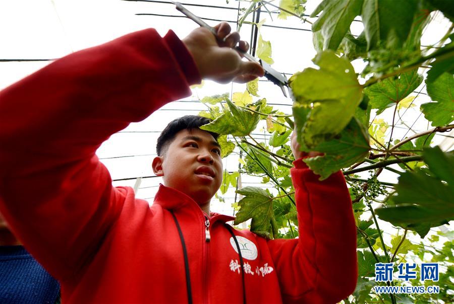 （在習(xí)近平新時(shí)代中國特色社會主義思想指引下——新時(shí)代新作為新篇章·總書記關(guān)心的百姓身邊事·圖文互動(dòng)）（1）“農(nóng)”字頭照樣“大”作為——豐收時(shí)節(jié)看涉農(nóng)高校人才在希望的田野