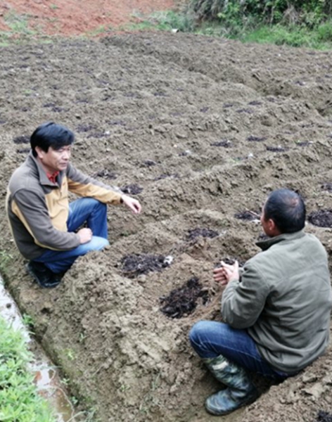 華能駐福建上洋村第一書記鄭永 點滴小事，打造穩穩的幸福