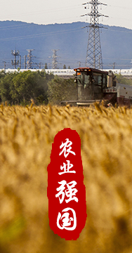農業強國是社會主義現代化強國的根基。