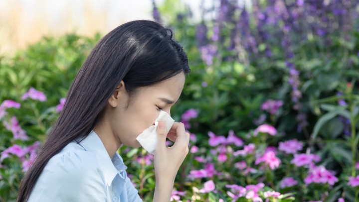 不養花、不碰花，為什么還會花粉過敏