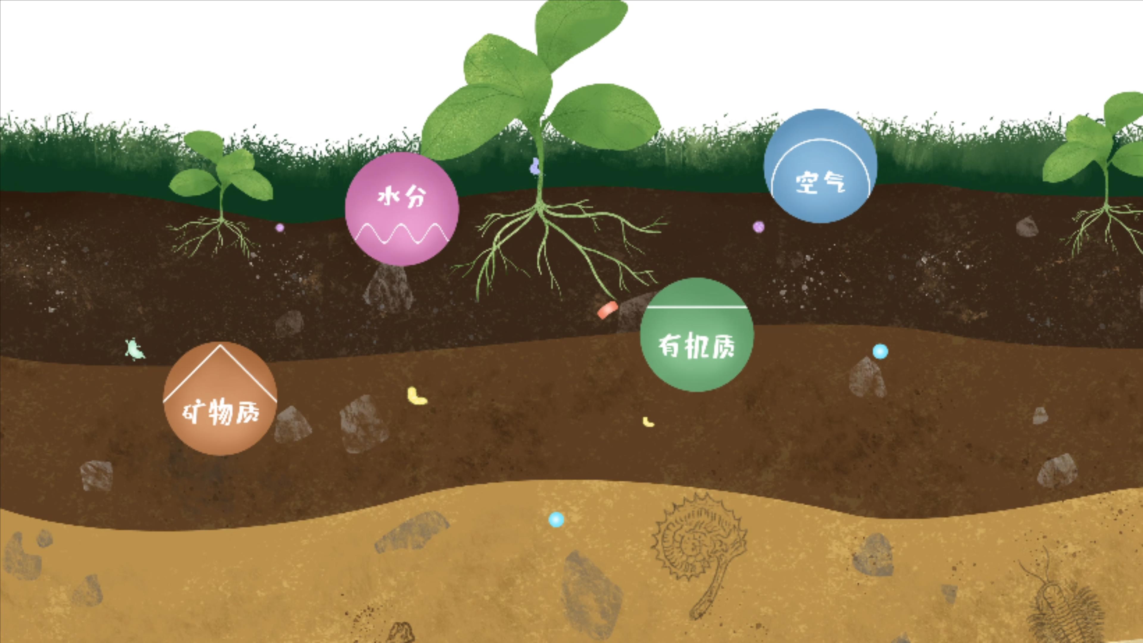 土壤由礦物質(zhì)、有機質(zhì)、水分、空氣及包括微生物在內(nèi)的生物體等組成