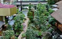 震撼！日本最豪華的廁所（組圖）